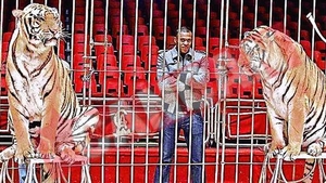 "Fiara" Julio Baptista se antreneaza cu tigrii