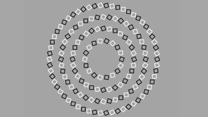 TEST IQ | Câte cercuri sunt, de fapt, în această imagine? E mai simplu decât pare!