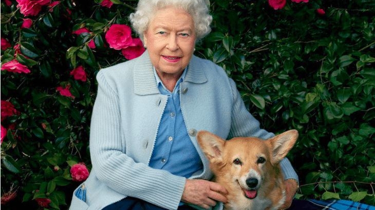 A murit Whisper, ultimul câine din rasa corgi al Reginei Elisabeta a 2-a!