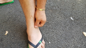 Invazie de purici la Arad, oamenii sunt atacaţi pe stradă de insecte. "Mai rău ca în Evul Mediu"