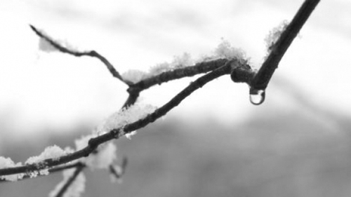 Prognoza meteo pentru urmatoarele doua zile! Ploua, e frig si…