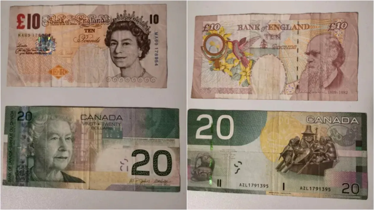 Cu câți lei se vând două bancnote cu Regina Elisabeta a II-a pe OLX. Cât trebuie să plătești pentru ele
