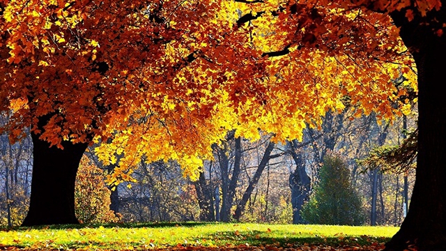 METEO 17 SEPTEMBRIE! Cum va fi vremea in Capitala si in alte zone din tara!