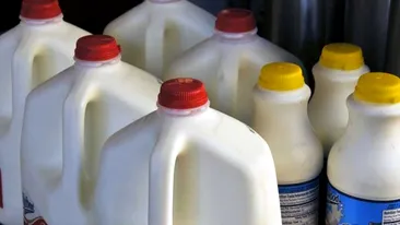 Iată de ce nu trebuie să depozitezi laptele pe rafturile de la uşa frigiderului. Cu siguranţă nu te aşteptai la asta, iar motivul e unul incredibil