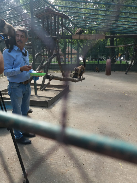 Regim special de caniculă pentru animalele de la zoo
