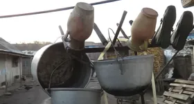 Galerie foto - poza 4