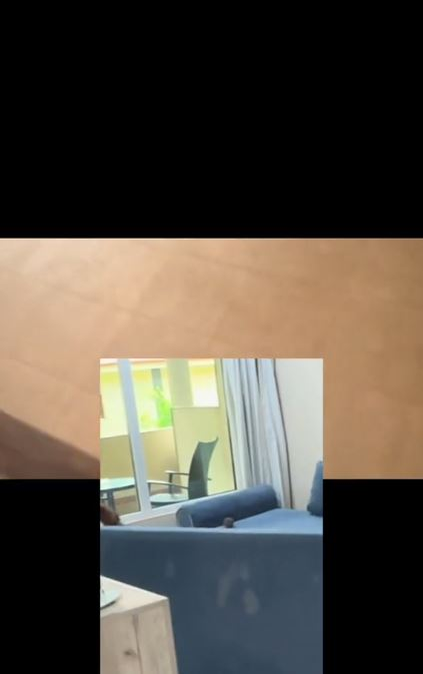 Turiștii s-au „luptat” cu un șobolan în camera de hotel / captură video