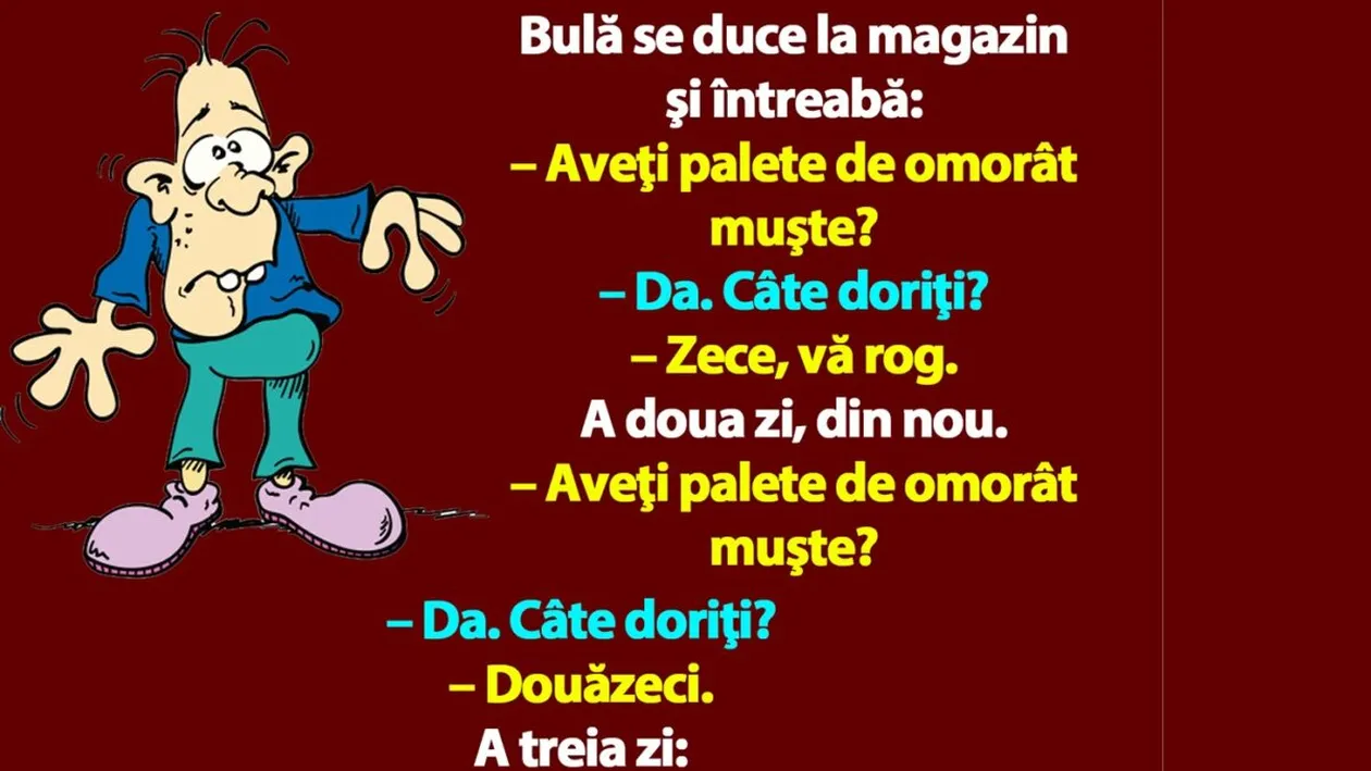 BANC | Bulă se duce la magazin şi întreabă: Aveţi palete de omorât muşte?