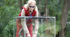 Galerie foto - poza 1