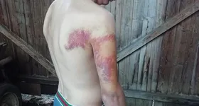 Galerie foto - poza 3