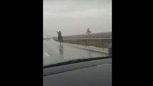 „Călărețul singuratic” din Craiova! Imaginile cu un bărbat călărind un cal pe o ploaie torențială au devenit virale