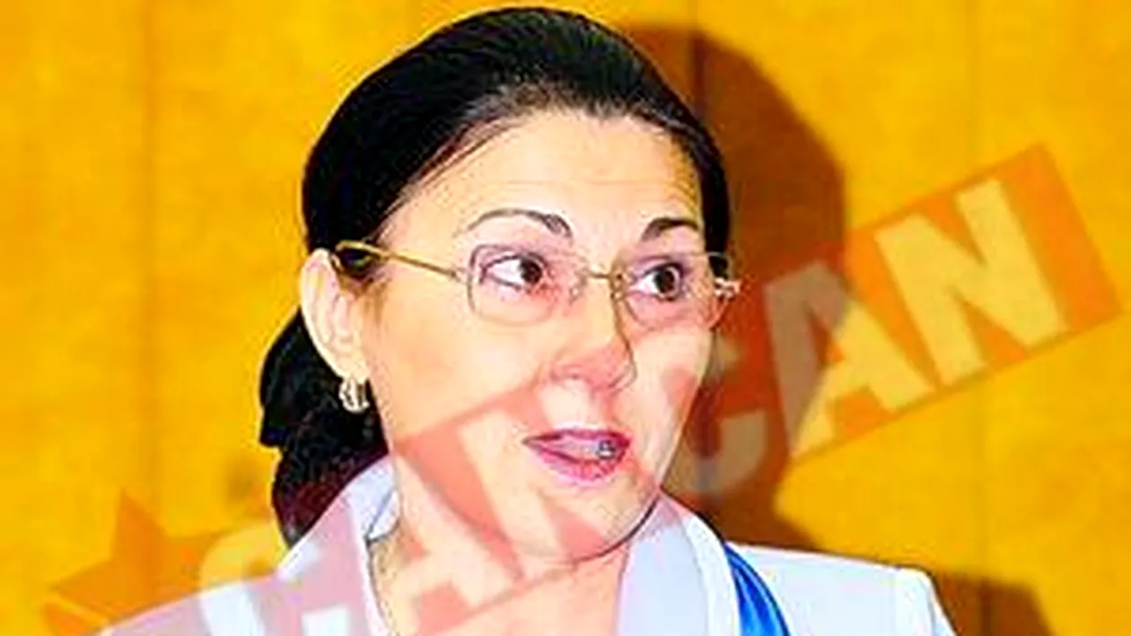 Ecaterina Andronescu nu-si da demisia