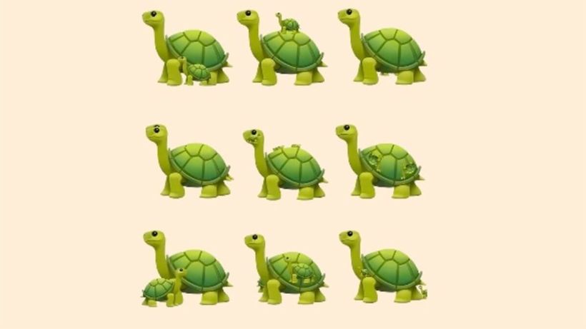 TEST IQ | Câte broaște țestoase sunt, de fapt, în această imagine?