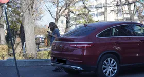 Galerie foto - poza 2