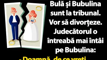 BANC | Bulă și Bubulina, divorț la tribunal