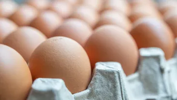 Țara europeană care a rămas fără ouă din cauza bolilor aviare. Criza vine chiar înainte de Paște