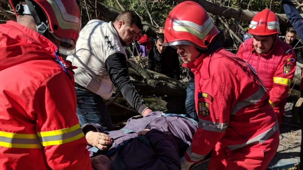 Un copac doborât de vânt s-a prăbușit peste o femeie, la Craiova. Șase județe din sudul țării se află sub cod portocaliu de vânt