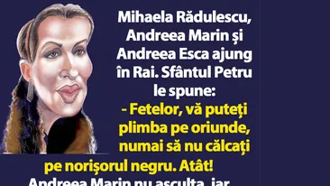 BANC | Mihaela Rădulescu, Andreea Marin și Andreea Esca ajung în Rai