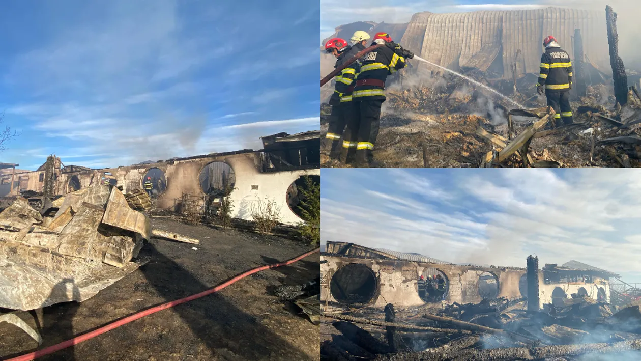 Ce s-a întâmplat la Ferma Dacilor cu doar câteva ore înainte de izbucnirea incendiului! El este bănuit că i-a ars de vii