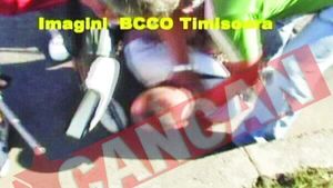 Interlop craiovean, prins cu 260 grame de hasis