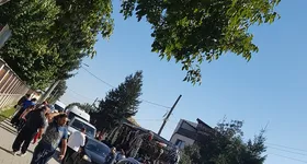 Galerie foto - poza 3