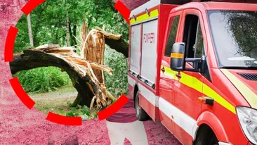 Tragedie în pădure produsă în această dimineață: pompierii au luptat în zadar pentru viața unui bărbat