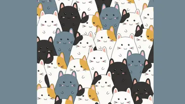 Test de perspicacitate | Găsiți pisica ascunsă printre hamsteri!