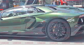 Galerie foto - poza 2