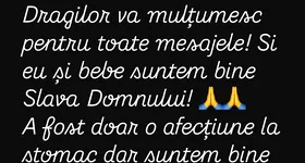 Galerie foto - poza 2