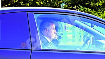 Se afiseaza in oras cu bestia compacta