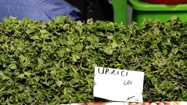 Cât au ajuns să coste urzicile acum, în februarie 2026. Românii cumpără 100-200 de grame