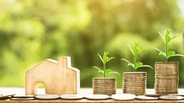 Indicele ROBOR la 6 luni, cel mai scăzut nivel al ultimilor doi ani! Ce se întâmplă cu ratele în timpul pandemiei de coronavirus