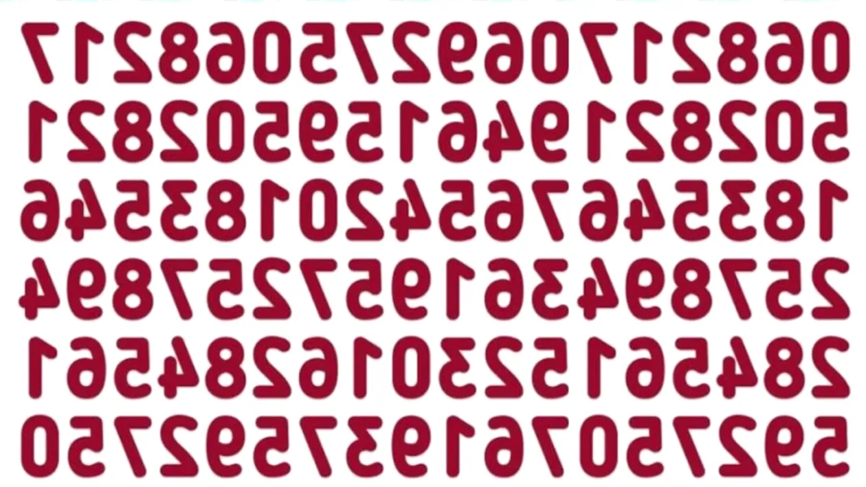 TEST IQ | Doar 1 dintre 10 oameni poate găsi numărul 523 în maximum 15 secunde