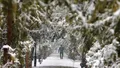 Nu e păcăleală: Va ninge pe 1 Aprilie! Când se întoarce iarna în România
