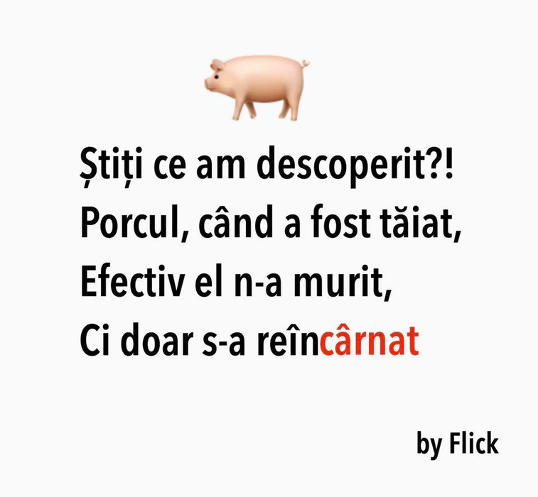 Flick, poezie fabuloasă despre o tânără care s-a îmbogățit din videochat! Fanii Domnului Rimă i-au sărit în cap, iar el le-a răspuns