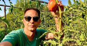 Galerie foto - poza 1