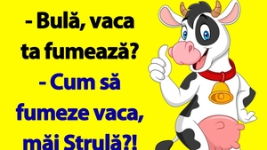 Bancul de sâmbătă dimineața |  "Bulă, vaca ta fumează?"