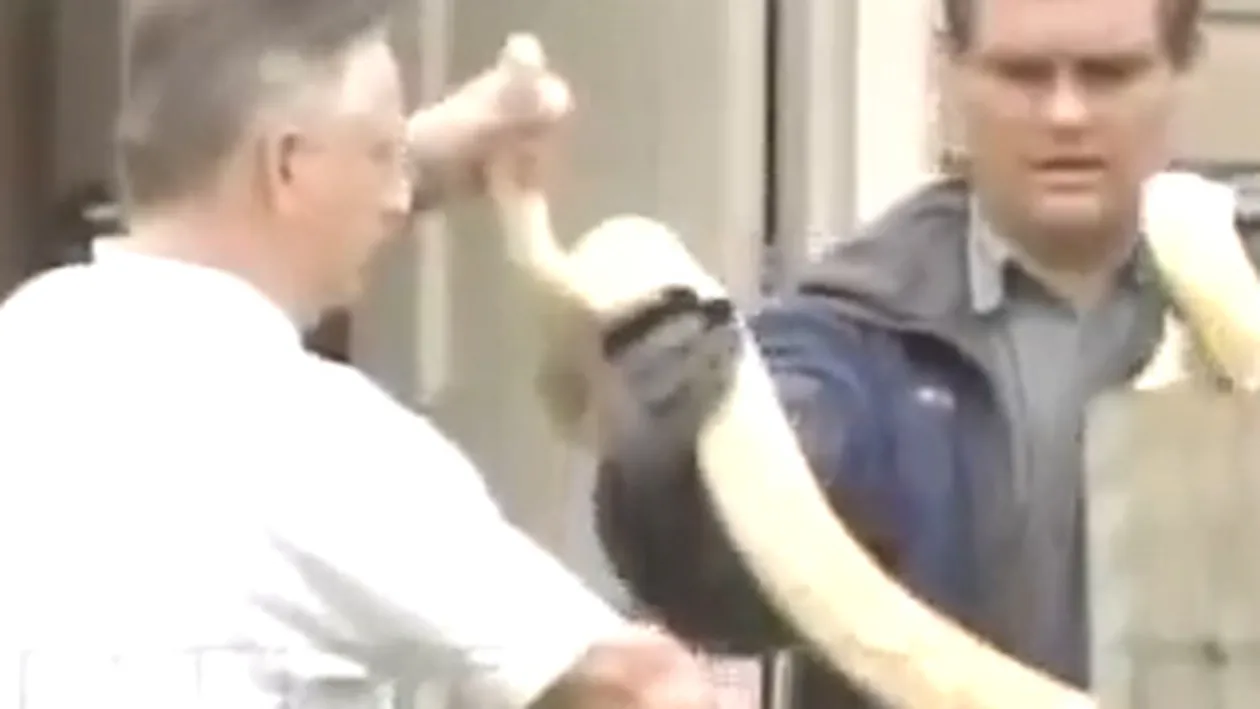 VIDEO Pitonul unei femei a omorat-o pe fiica de doi ani a acesteia! Pedeapsa ei: 35 de ani de inchisoare!