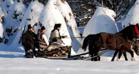 Galerie foto - poza 1