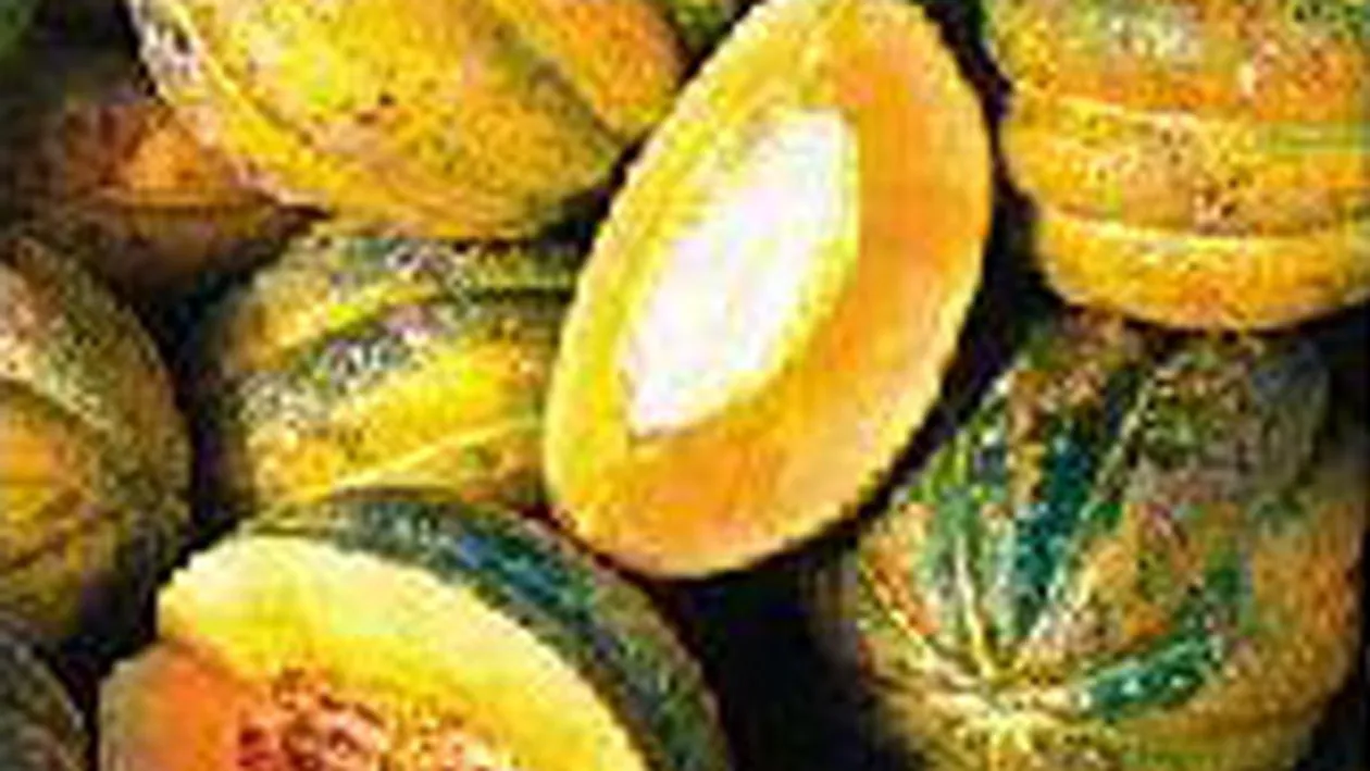 19 tone de pepeni galbeni din Spania au ramas in Vama Nadlac