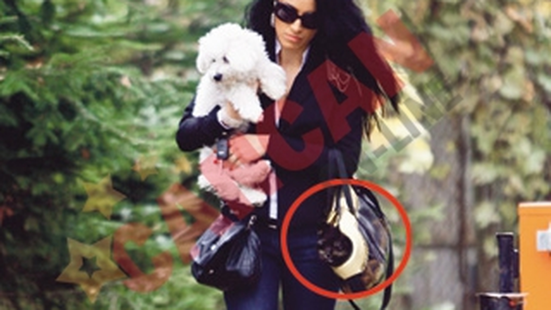 Adelina s-a chinuit sa-i care la veterinar