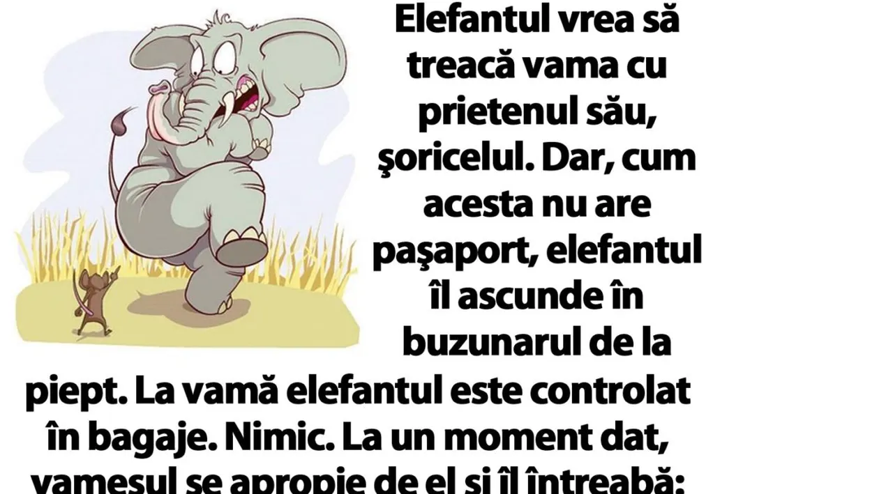 BANC | Elefantul vrea să treacă vama cu prietenul său, şoricelul
