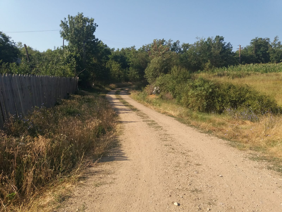 Bucicani, un loc rupt de lume, de care nu a auzit nici COVID-ul