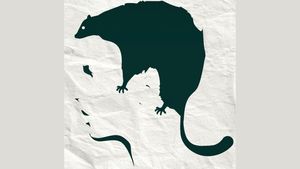 Test psihologic | Ce vezi prima dată în această poză? Răspunde și vei afla care e cea mai mare frică a ta!