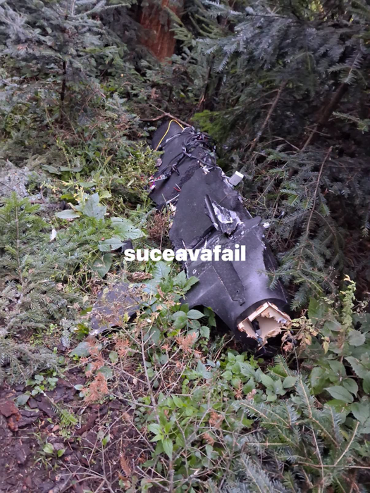 Sursa foto: Facebook / Suceava Fail
