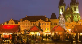 Galerie foto - poza 4