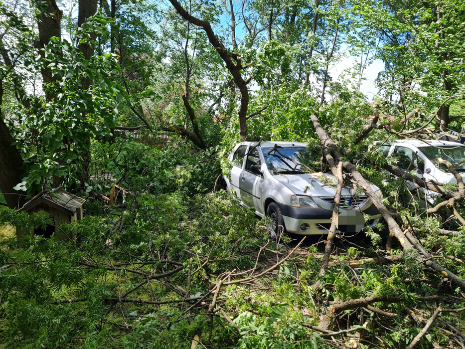 Codul galben a făcut ravagii în România. Copaci prăbușiți, drumuri blocate și mașini avariate. FOTO