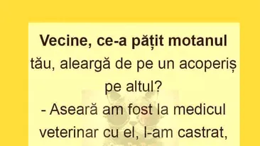 BANC | Vecine, ce-a pățit motanul tău de aleargă de pe un acoperiș pe altul?”