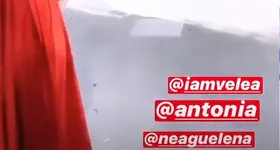 Galerie foto - poza 3