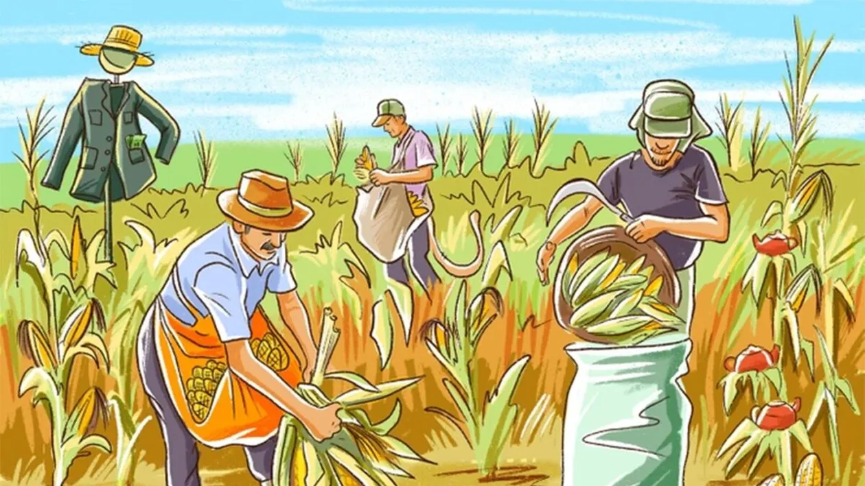 Test de logică | În această fotografie s-au strecurat 4 greșeli. Le puteți găsi pe toate?